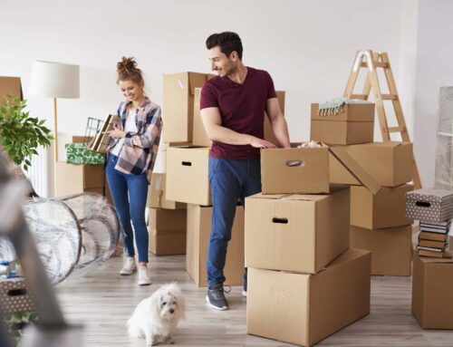 Hadımköy Evden Eve Nakliyat